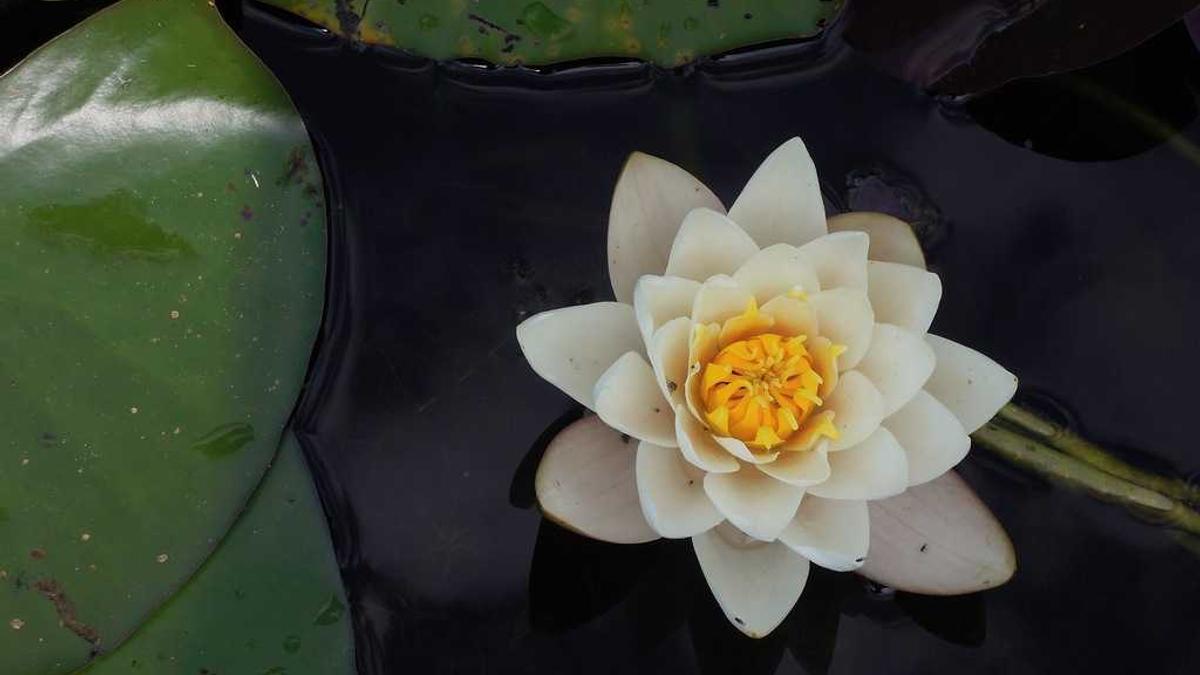 தமிழ்நாடு ஸ்டார்ட்அப்களுக்கு ரூ.500 கோடி நிதி: புதிய கொள்கை